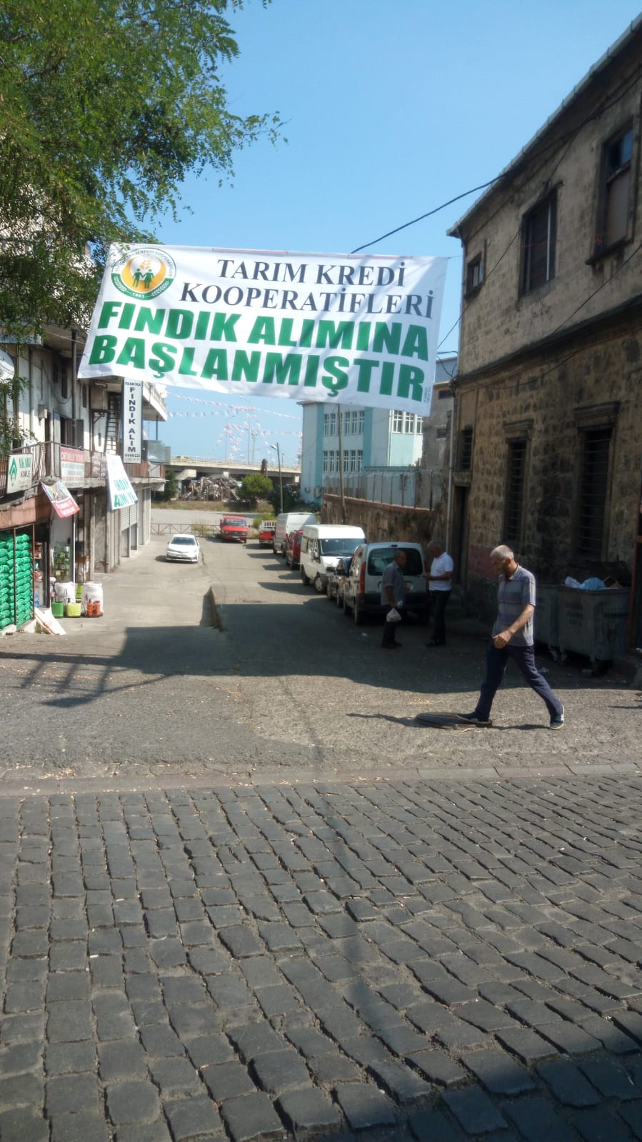 Tarım Kredi de fındık alıyor